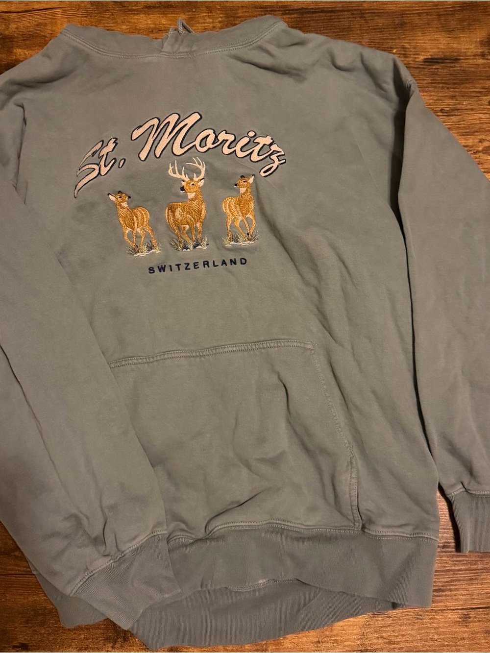 Switzerland Woman’s John Galt Sage Green Hoodie Sweatshirt